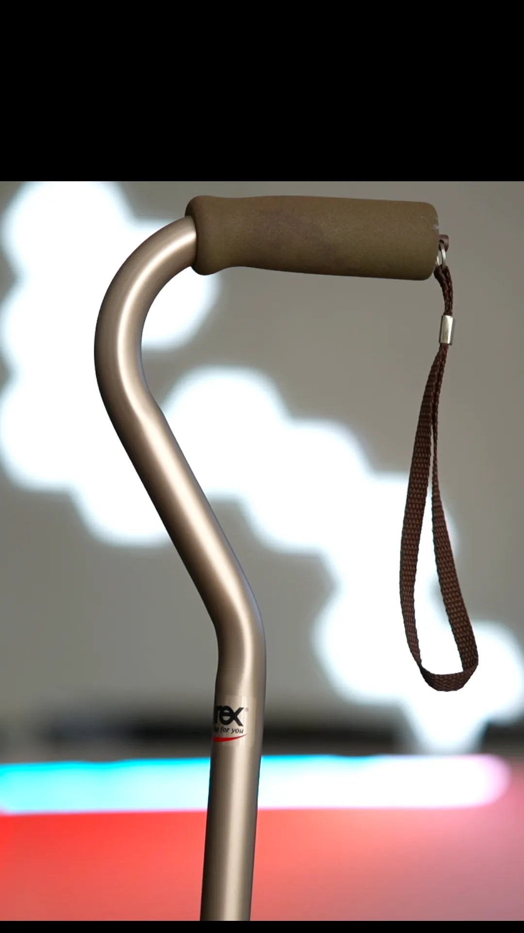 The Dreamer's Cane