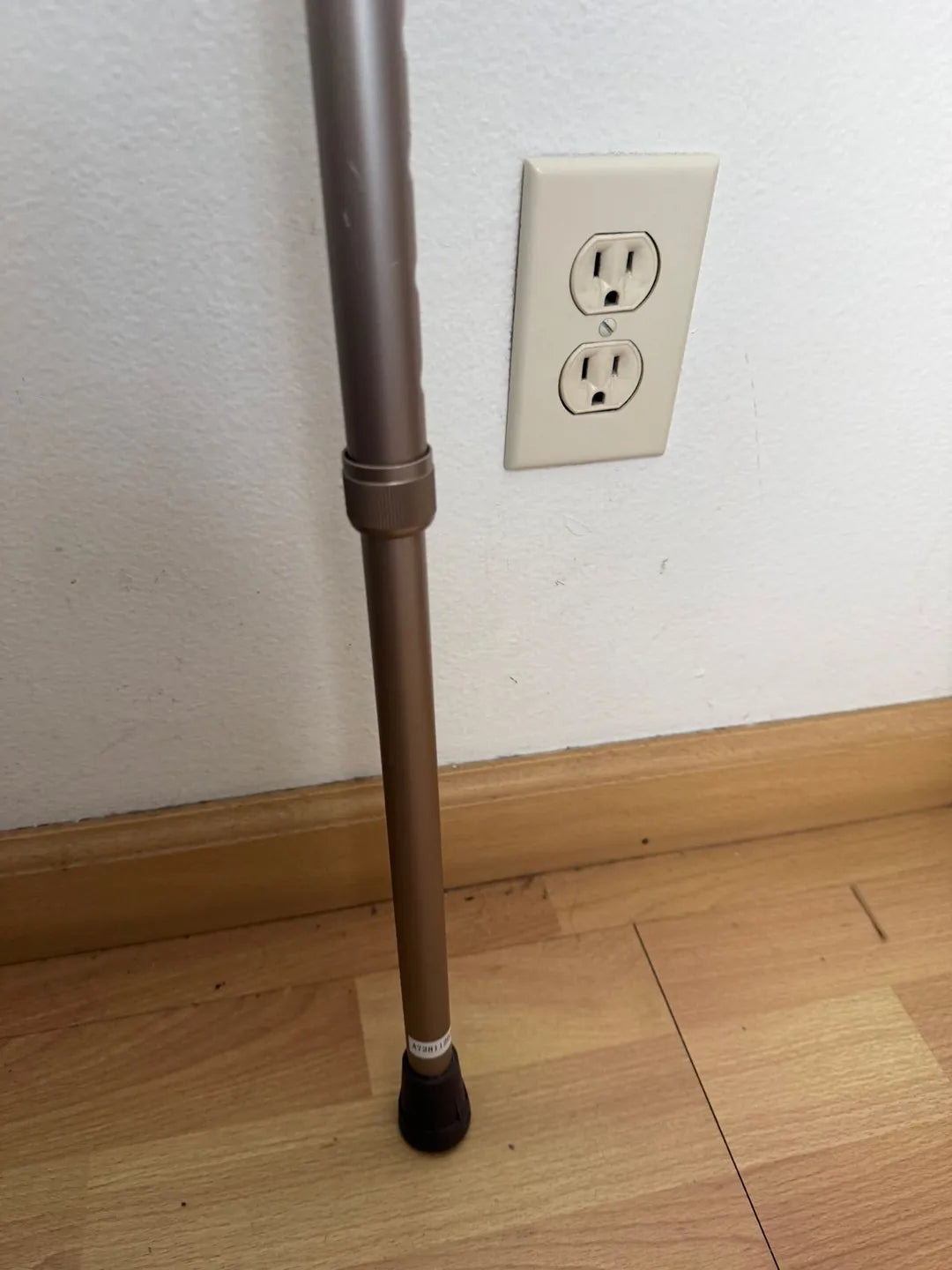 The Dreamer's Cane