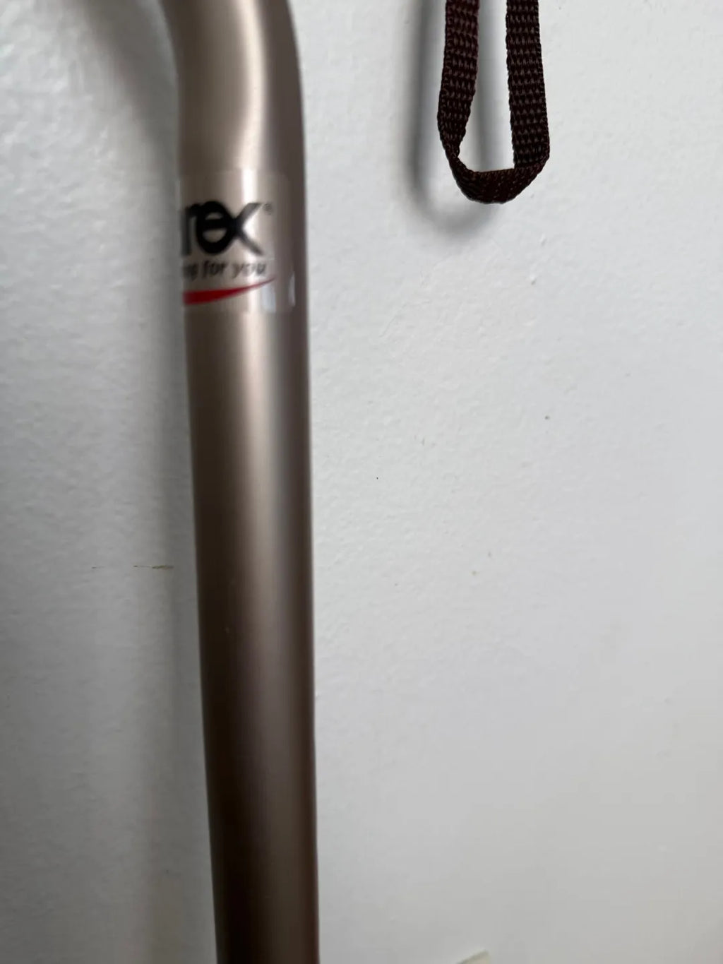 The Dreamer's Cane