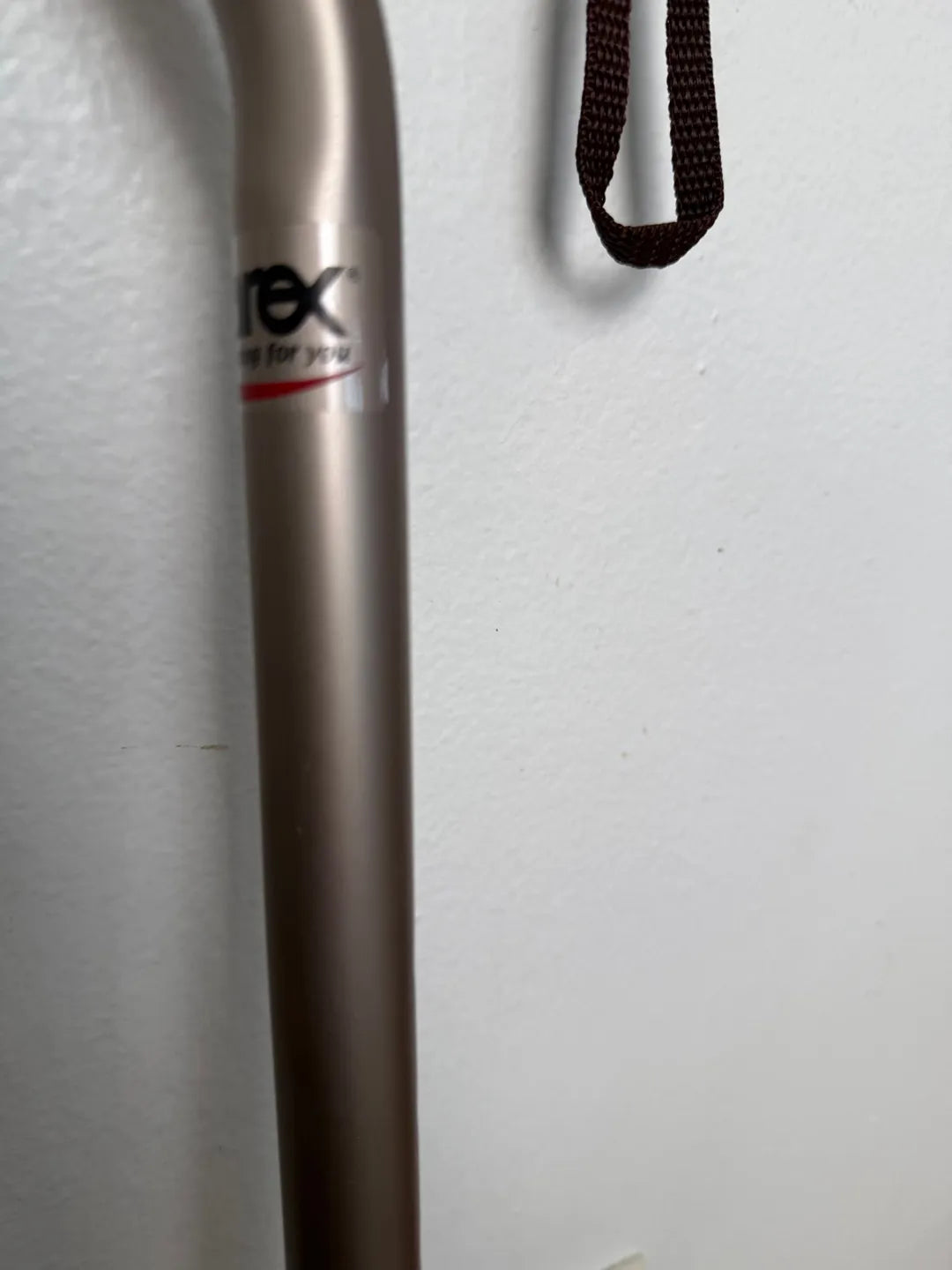 The Dreamer's Cane
