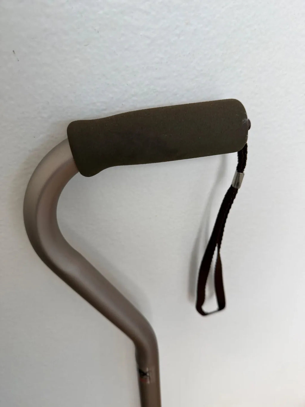 The Dreamer's Cane