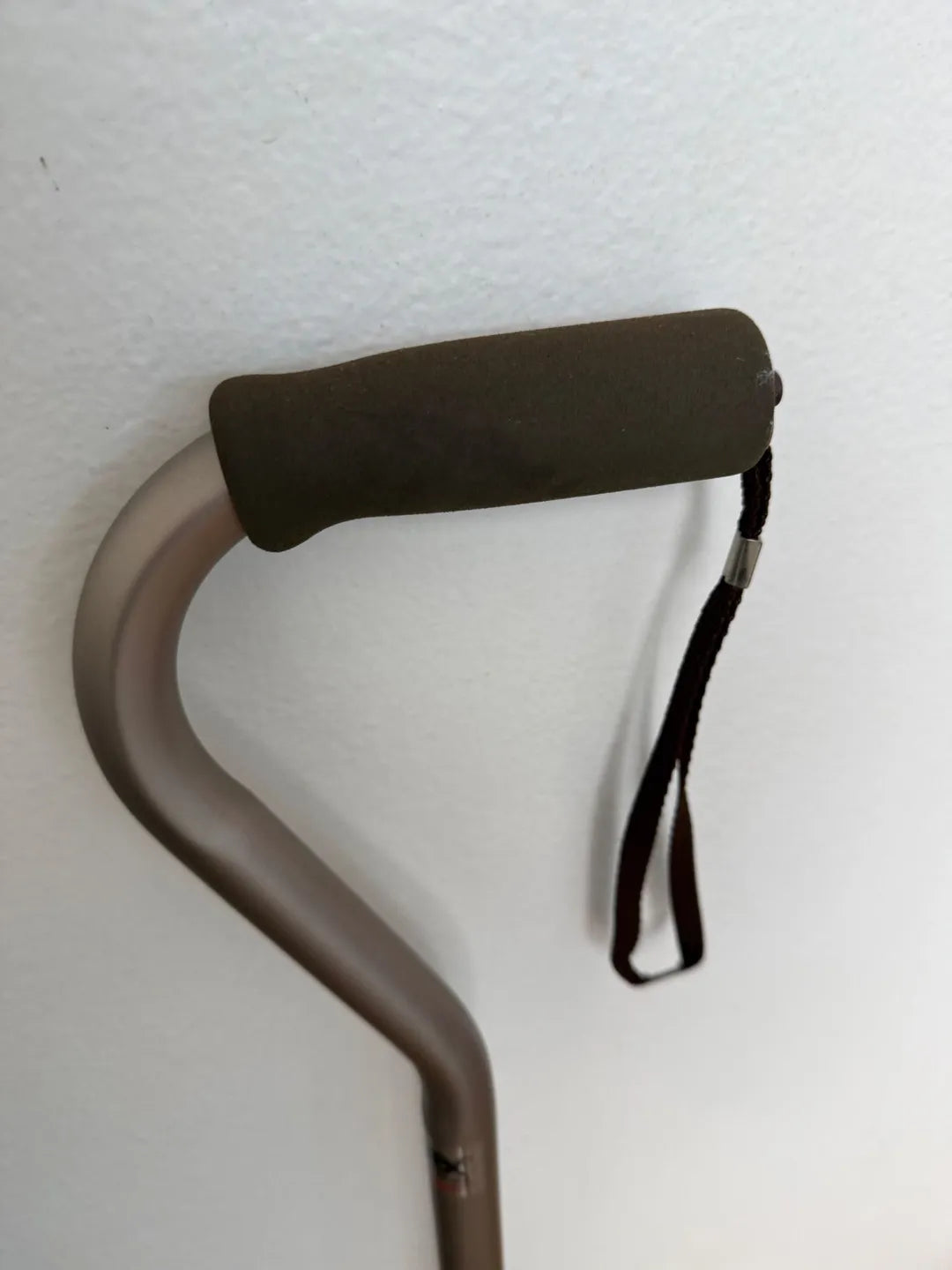 The Dreamer's Cane