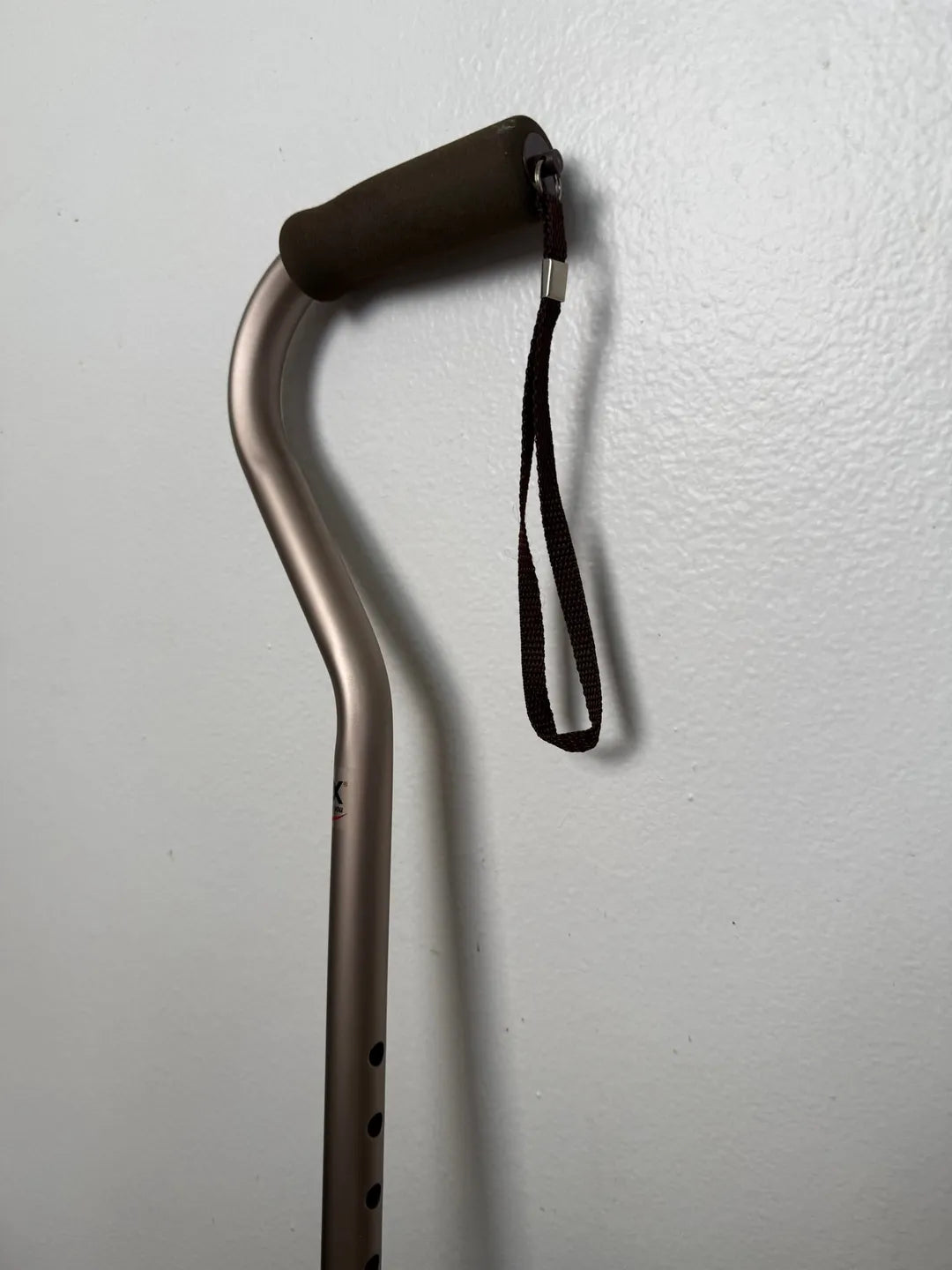 The Dreamer's Cane
