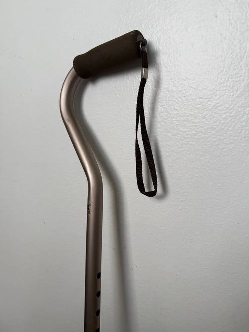 The Dreamer's Cane